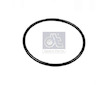 Těsnicí kroužek DT Spare Parts 3.89550