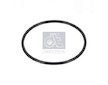 Těsnicí kroužek DT Spare Parts 3.21058
