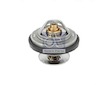 Termostat, chladivo DT Spare Parts 3.15009