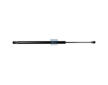 Plynova vzpera, predni klapka DT Spare Parts 6.70056