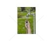 GARDENA Rychlospojka Premium 19 mm (3/4") (18256-50)