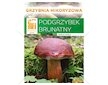 Hřib hnědý ( Boletus badius ) mykorhyzní mycelium
