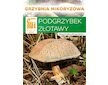 Hřib plstnatý (Xerocomus subtomentosus)- mykorhyzní mycelium