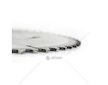 Kotouč pilový s SK plátky (vidiový), 350x60Tx32mm POWER BLADE