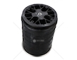 Mech, pneumaticke odpruzeni FIRESTON W01M585542