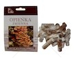 Opěnka měnlivá (Kuehneromyces mutabilis) 20 ks - podhoubí na kolících