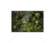 Plachta zakrývací 5x3m, 90g, maskovací CAMOforest