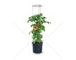 Plastový květináč 28l pro pěstování rajčat TOMATO GROWER