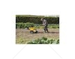 POWXG7217 Benzinový kultivátor OHV, 208cc + pluh POWERPLUS