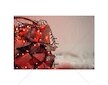 RXL 307 řetěz 150LED 15+5m RED RETLUX
