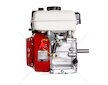 Spalovací motor 7 HP/19 mm, pro čerpadla nebo centrály - MAR-POL