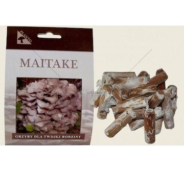 Maitake-trsnatec lupenitý (Grifola frondosa) 20 ks - podhoubí na kolících