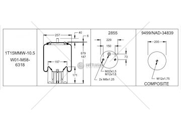 Mech, pneumaticke odpruzeni FIRESTON W01M586318