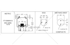 Mech, pneumaticke odpruzeni FIRESTON W01M587074