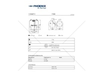 Mech, pneumaticke odpruzeni PHOENIX 1D28F-1