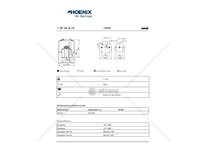 Mech, pneumaticke odpruzeni PHOENIX 1DF20A-10