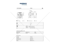 Mech, pneumaticke odpruzeni PHOENIX 1DF23B-3