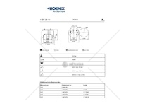 Mech, pneumaticke odpruzeni PHOENIX 1DF25-11