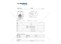 Mech, pneumaticke odpruzeni PHOENIX 1DK22E-11