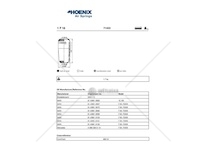 Mech, pneumaticke odpruzeni PHOENIX 1F16