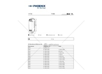 Mech, pneumaticke odpruzeni PHOENIX 1F21