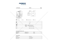 Mech, pneumaticke odpruzeni PHOENIX 1KF24-21