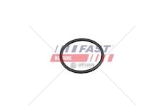 Oring ford transit 06> čerpadlo vody ft49920