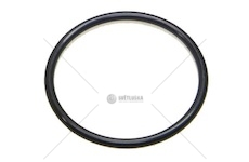 ORING INTARDERA.ZF 63X3 EURORICA 95532571