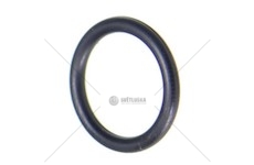 ORING SKRZ.BIEG.SCANIA 15.30X2.4 MM EURORICA 74530682