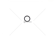 ORING WTRYSKIWACZA MAN D2066 20,9X3 BOSCH F00RJ01026