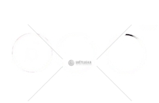 PIERSCIENIE MAN TGA FI120 D2066 /1-TLOK/ NE 120031003100