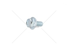 SCREW EURORICA 74170162