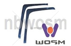 Spoiler WOSIMAN C-179-1