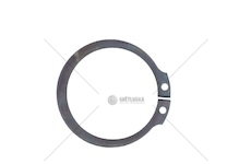 Zabezpečení ZF FI42*2,5 ZF 0630531052
