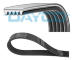 ozubený klínový řemen DAYCO 5PK1025HD