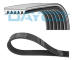 ozubený klínový řemen DAYCO 6PK1610HD
