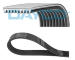 ozubený klínový řemen DAYCO 9PK2125HD